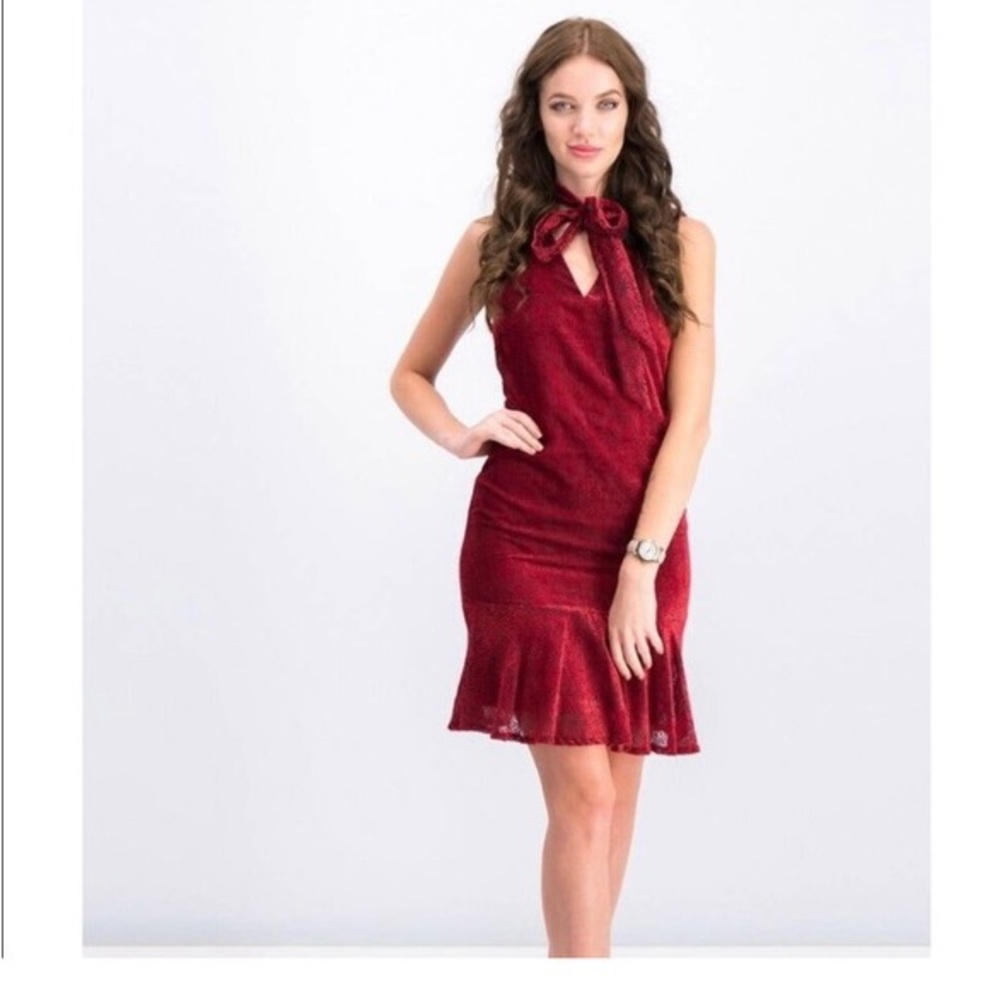 Karl Lagerfeld Paris Women’s Pindot Velvet Dress